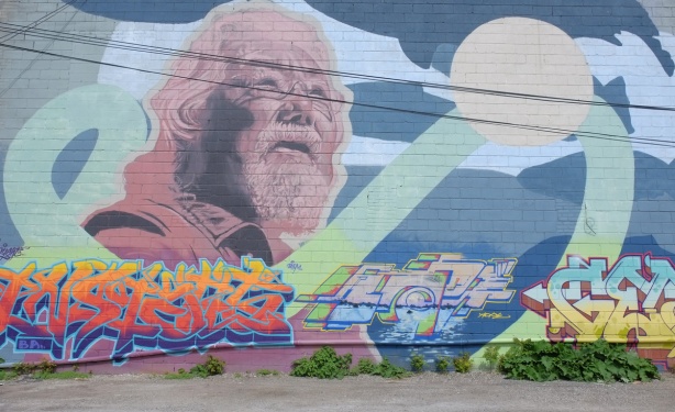 david Suzuki and the atlantic salmon mural by Kevin Ledo, a very large 24 foot by 64 foot mural, large head of David Suzuki 