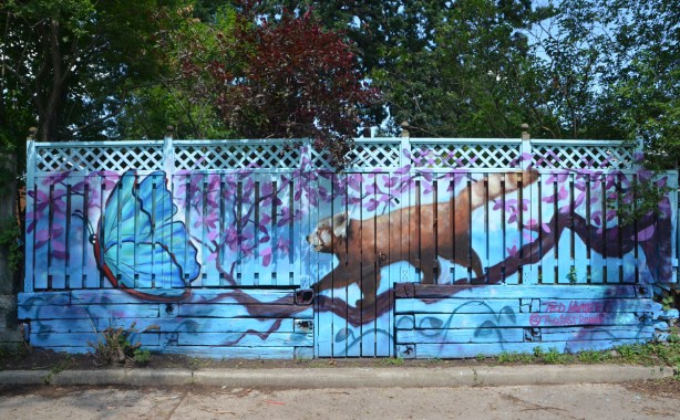 an animal (possum, red panda?), walks out on a tree branch towards a blue butterfly, mural on a fence