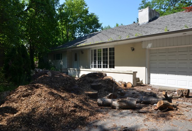 white stucco bungalow with the remains of a chopped up tree in front