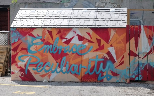 side a garage plus wood fence beside it painted with abstractr shapes in reds and oranges, with the words embrace peculiarity written in blue cursive writing 