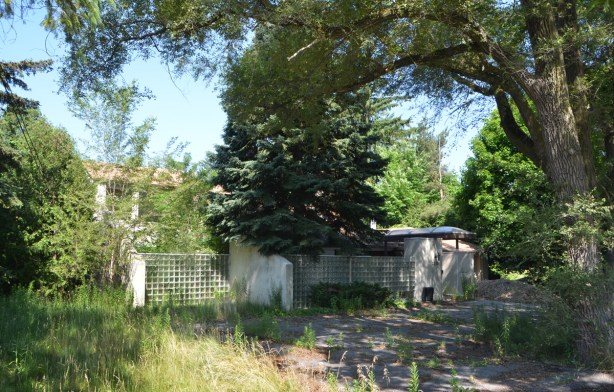 modern style house with glass brick wall in front, around a front porch, large spruce tree, overgrown driveway, 