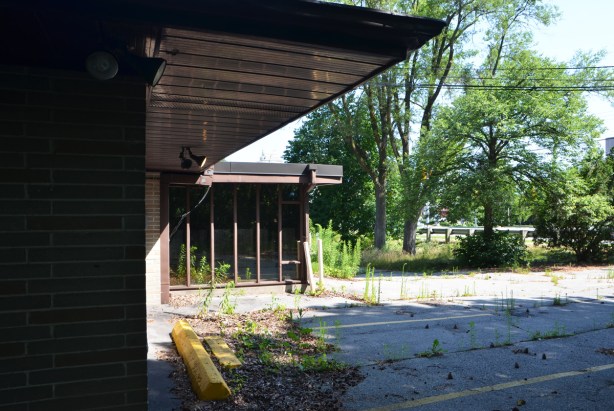 weeds coing up through the cracks in the pavement of a parking lot in front of an unused medical clinic, front entrance of the clinic, full length windows 