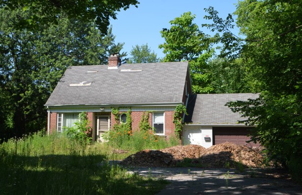 small brick house with attached garage, overgrown front yard, tiger lilies growing by the front, piles of mulch on driveway, some ivy on front of house, some shingles missing from the roof 