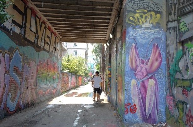 people in graffiti alley with a large pink praying mantis mural 