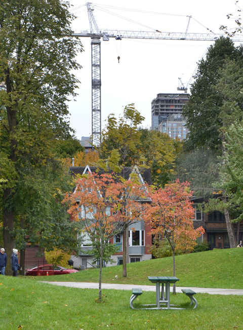 in a park, with picnic bench in the foreground, some people walking on the path, houses on street in middle ground and construction cranes and highrise under construction in the background.