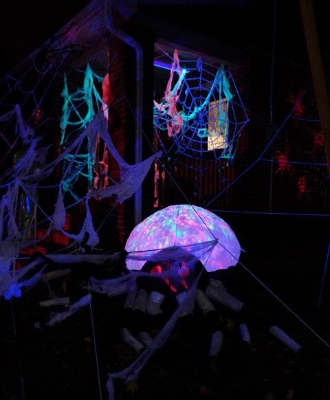 glow in the dark spider (very large) and webbing all over front porch of a house, pink and blue lights 