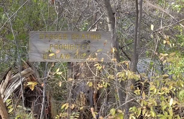 surrounded by small trees, a wooden sign with yellow lettering that says Danger Skating Prohibited by law. 