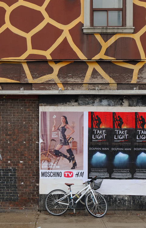 giraffe pattern brown and gold wall on top and brown below, movie posters and a bike