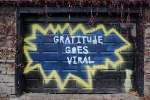 words painted on a garage door that say gratitude goes viral 