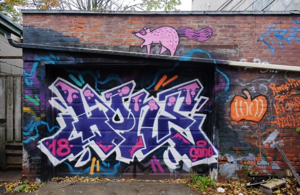 test graffiti on a garage in an alley, also with a pink raccoon painted above the garage door 