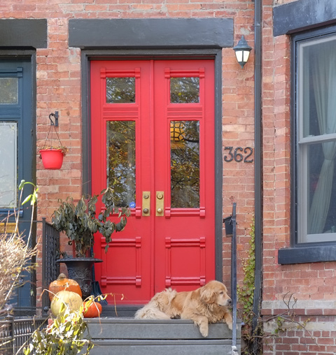 red double door, front door of house, porch with pumpkins on it, also a dog, a labrador retreiver, lying on the porch 