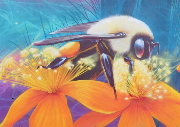 a bee, on two large orange flowers, Nick Sweetman mural