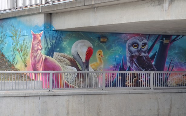 part of a Nick Sweetman mural on 30th street, a fox, a duck with yellow duckling and a purple owl 