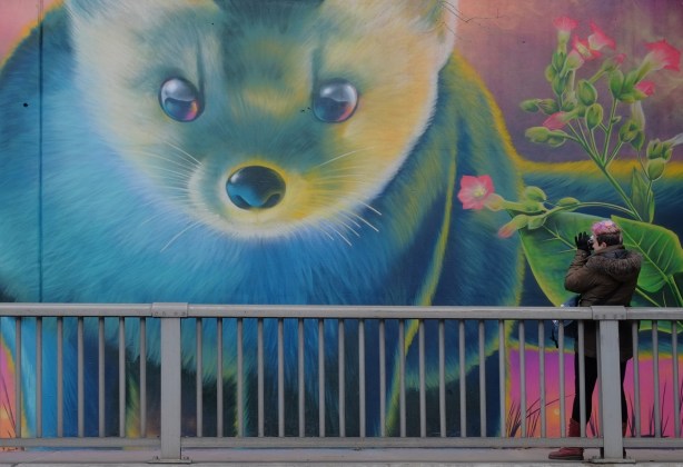 part of a Nick Sweetman mural on 30th street, a small furry animal bside a plant with pink flowers, as well as a person standing on the sidewalk and taking a picture of the mural 
