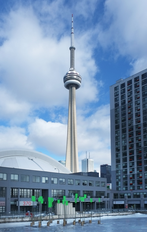 CN Tower in front, waterfront condos in the middle and Chroma Key Protest in the basin of water in the foreground 