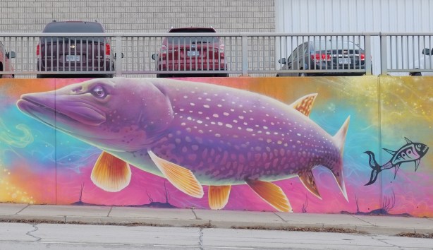 part of a Nick Sweetman mural on 30th street, a purple fish with yellow speckles and fins