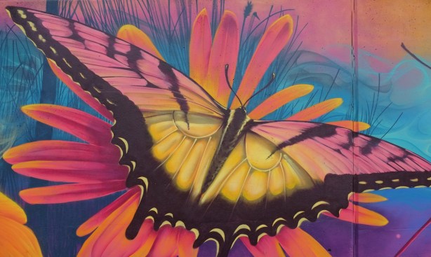 part of a Nick Sweetman mural on 30th street, large butterfly
