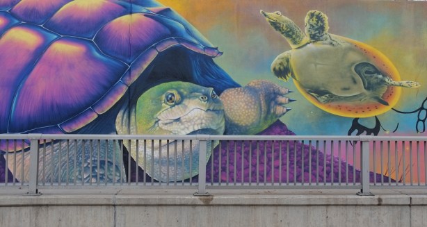 part of a Nick Sweetman mural on 30th street, a large turtle and a smaller turtle, by the railing along side the sidewalk