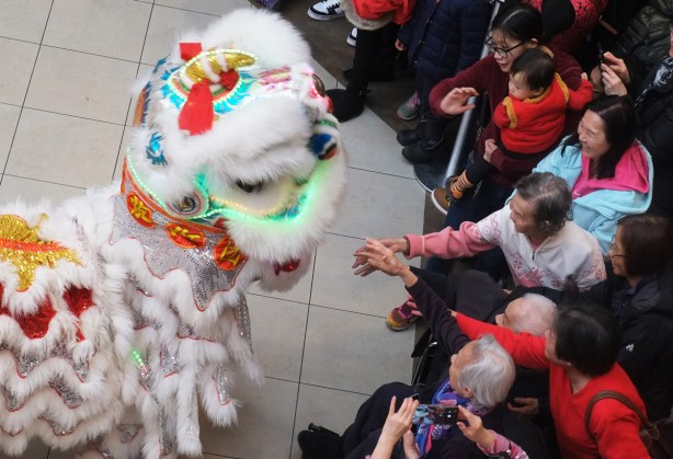 people in the audience reach out to touch a white lion costume with two people under it, part of a new year celebration