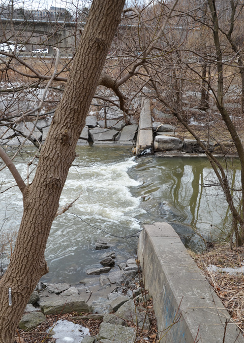 water flows over a low concrete dam on the Don River, winter time, but no snow or ice, no leaves on the trees, 