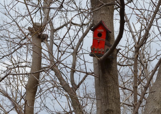 a bright red bird house in a tree, no leaves, 