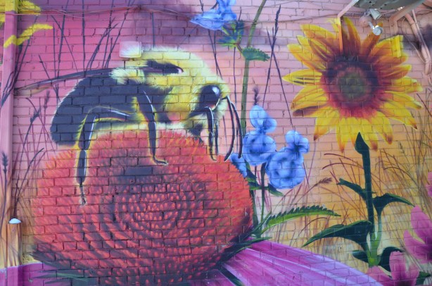 part of a nick sweetman pollinators mural, a bee on top of a purple coneflower