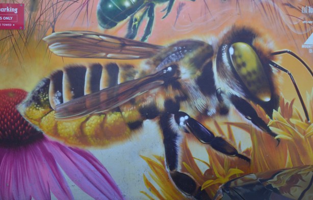 large painting of a bee on a flower, part of a mural, leaf cutter bee