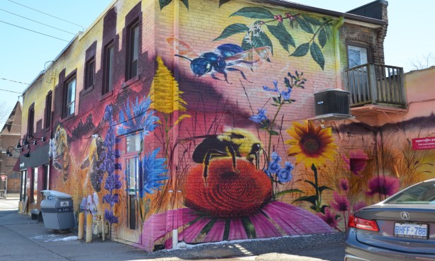 part of a nick sweetman pollinators mural, corner of supercoffee building, several bees and many flowers