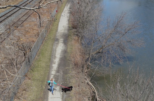 looking down from a bridge, a woman walks her black dog along a path beside the Don River, also train tracks running parallel to the path and river