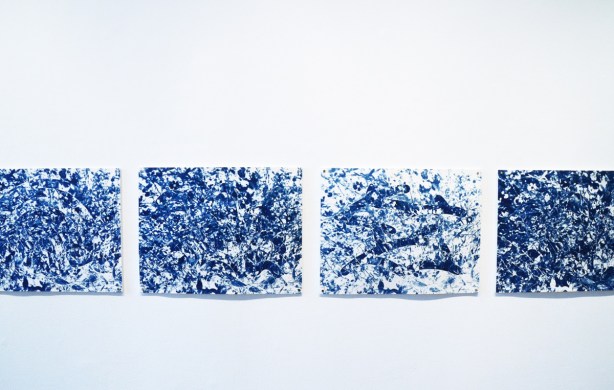 4 cyanotype prints (blue) on a gallery wall