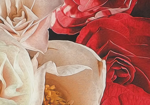 close up of photo of a red flower and a white flower that has been manipulated using digital painting techniques