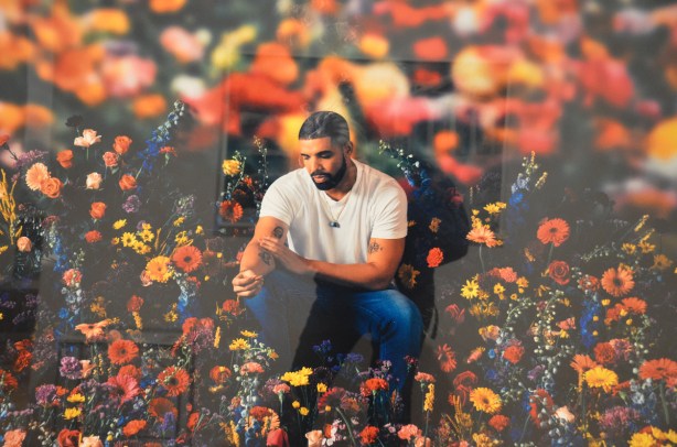 a photo of Drake sitting among many colourful flowers 