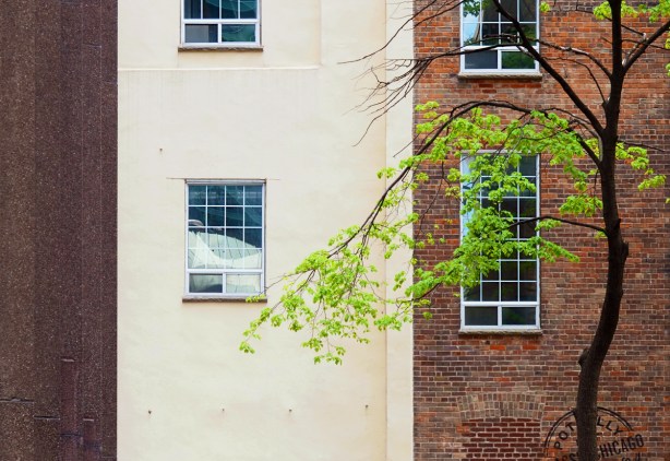 three buildings joined together, one red brick, one beige stucco and one a purplish brown. A small tree grows in front of them. Four windows. 