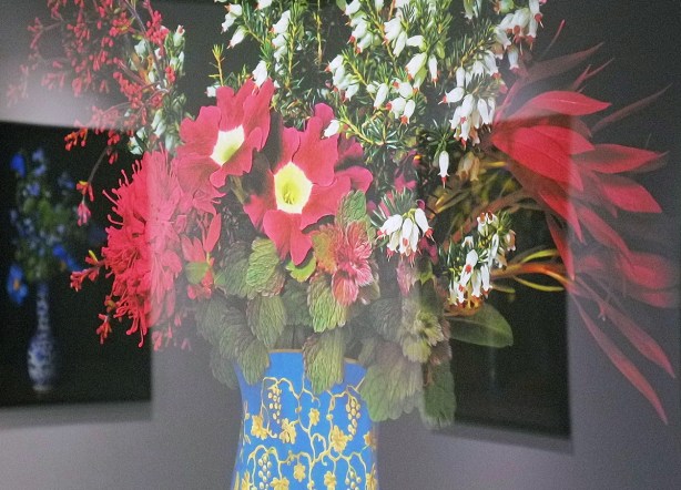 picture of a blue vase with red and white flowers, framed on a gallerywall, reflections of other pictures in the glass, black background