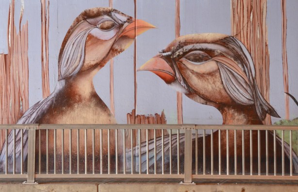 part of a mural, two bird heads in orange and brown tones