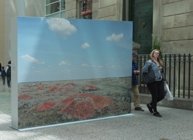 a couple walk past a large picture, small reddih mounds of dirt on a barren grassy field, flat land, no trees or other plants