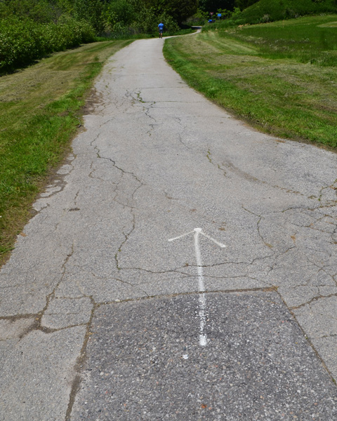 paved path through a park, grass on both sides, on the pavement is a large white arrow, hand drawn with white spray paint 