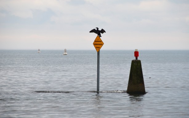 a large bird sits on a yellow sign out in the waters of Lake Ontario, an orange (or red) light sits on a concrete pedestal beside it