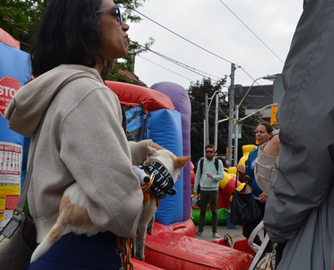 a woman holding a small dog with a black and white Raptors we the north scarf on 