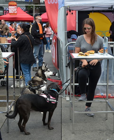 a woman sits at a high table with three small burgers on it, two dogs are beside her on the ground but looking up