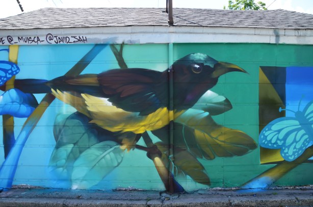 painted mural in a lane, butterflies behind a large bird
