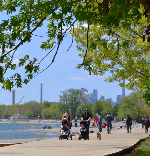 two women push strollers along the boardwalk by Kew Beach, CN tower and Toronto skyline in the distance, other people on the boardwalk and beach too 