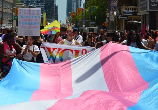 women holding a large transexual flag to carry in a parade