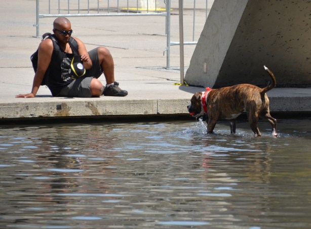 a balding black man sits on the edge of the pool at Nathan Philips square, taking a picture of his dog who is in the water. Dog has Canada flag bandana on 