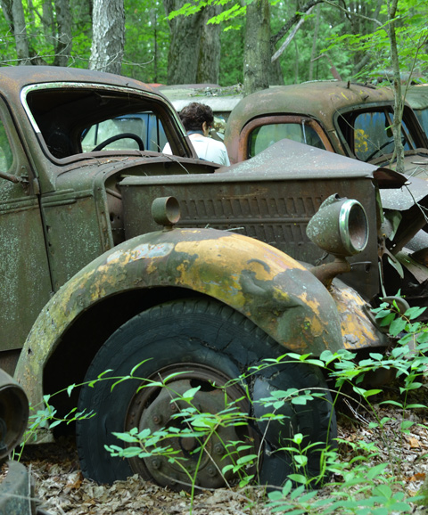 a row of olive colored cars in an overgrown junkyard 