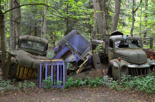 car and truck graveyard, 