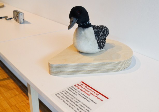 a small stuffed loon toy on display in a museum show 