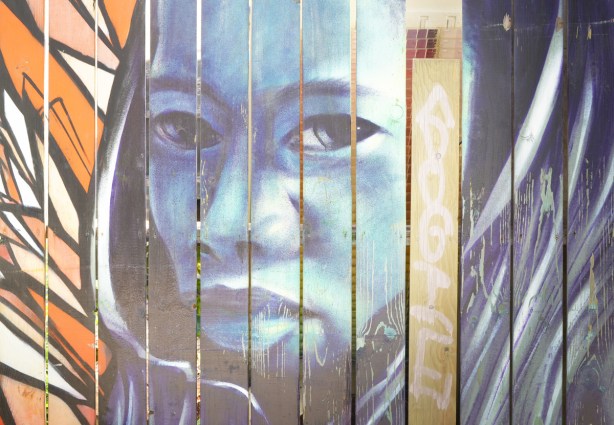 on a fence that is vertical slats of wood, a portrait of a woman in blue