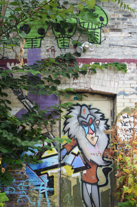 painting of character from Disneys Lion King on door in alley, with paintings of little aliens across the top of the building, ivy growing on the walls 