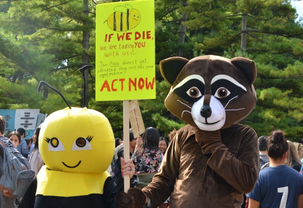 two people in costume, one a bee and one a fox (badger?). They have a yellow sign that says If we die we will take you with us. Act now. at the climate strike rally at Queens Park on a sunny morning in September